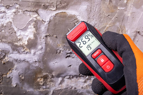 Best Health and Safety Mold Remediation in Olivia, MN