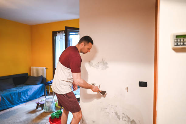 Best Attic Mold Remediation in Olivia, MN